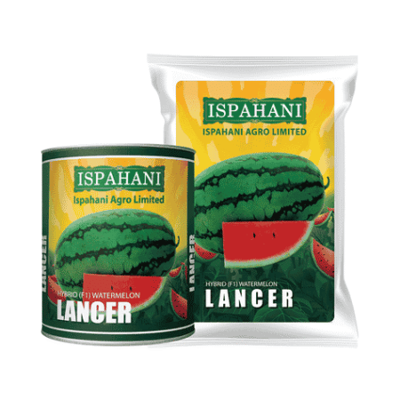 F1 Hybrid Watermelon Seed Lancer