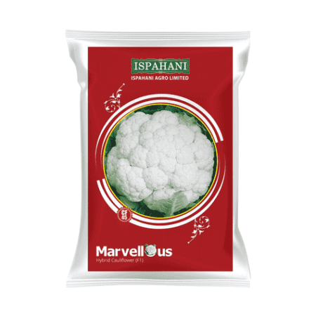 F1 Hybrid Cauliflower Seed Marvellous 45