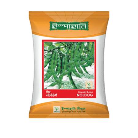F1 Hybrid Bean Seed Noldog