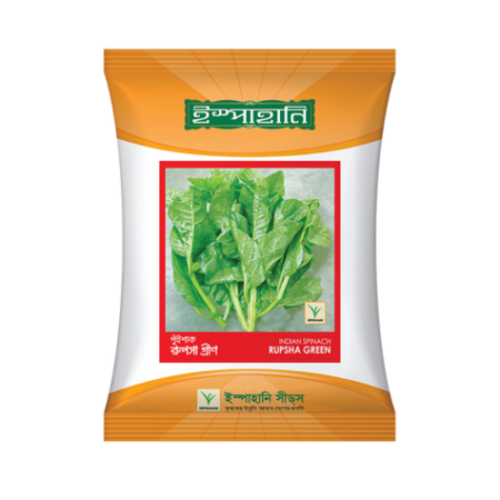 F1 Hybrid Malabar Spinach Seed Rupsha Green