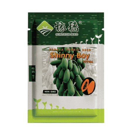 F1 Hybrid Papaya Seed Shinny Boy