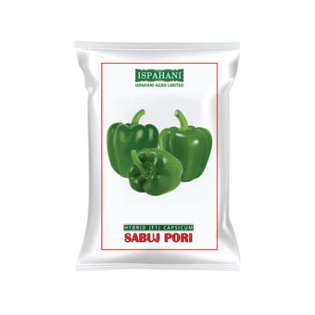 F1 Hybrid Capsicum Seed Sobuj Pori