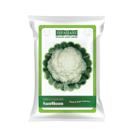 F1 Hybrid Cauliflower Seed Sunmoon