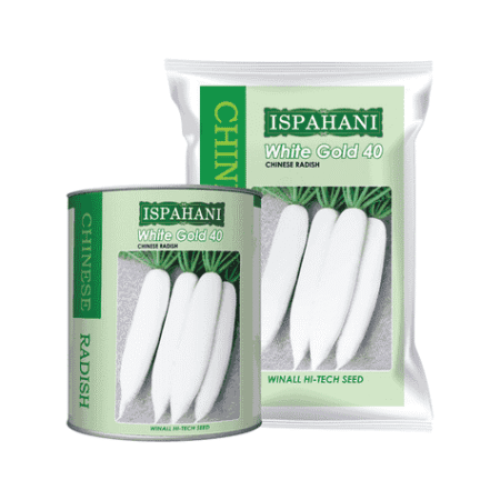 F1 Hybrid Radish Seed White Gold 40