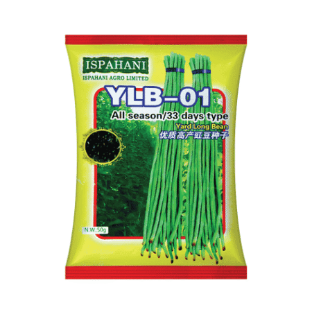 F1 Hybrid Yard Long Bean Seed YLB 01