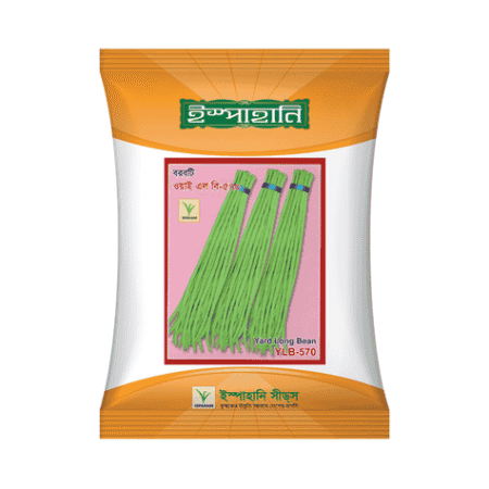 F1 Hybrid Yard Long Bean Seed YLB 570